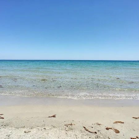 Norte - 6509 فيلة لا مانغا ذيل مار مينور